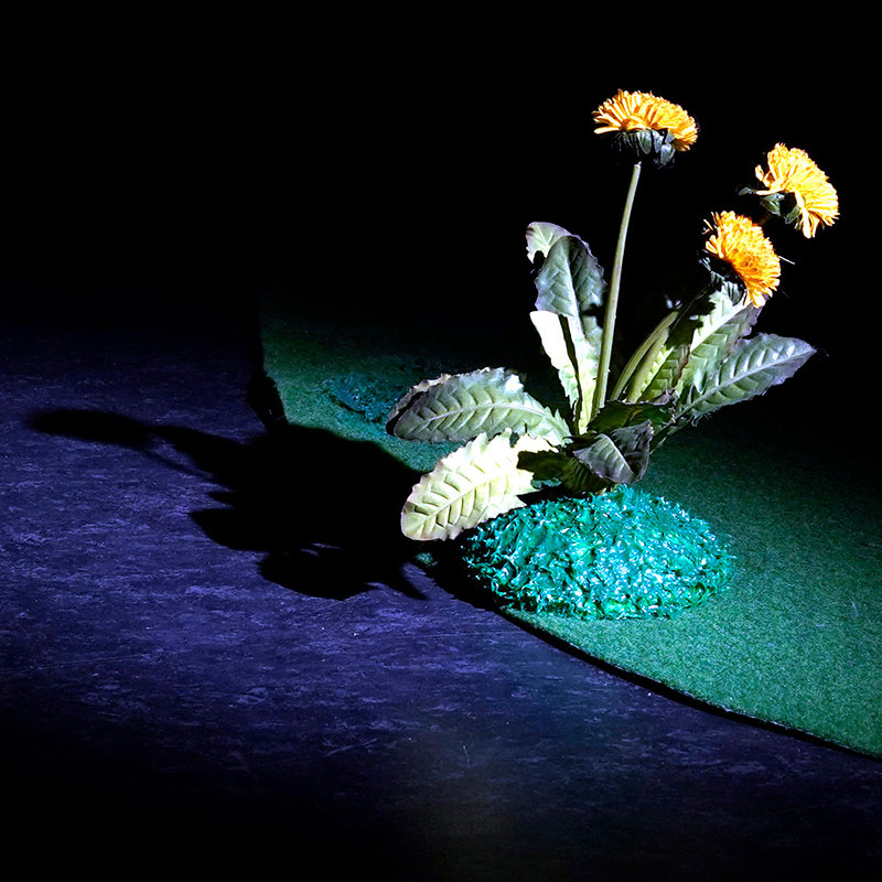 Introbild veranstalter